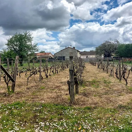 Tatil Evi On A Vineyard *